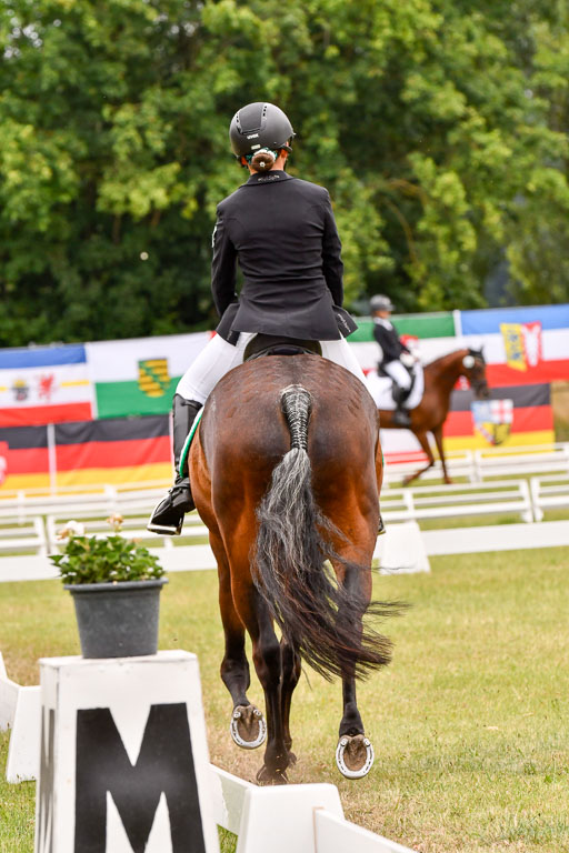 Goldene Schärpe Ponys in Hohenberg Krusemark 2024 | 12072024 Dressur _0714 