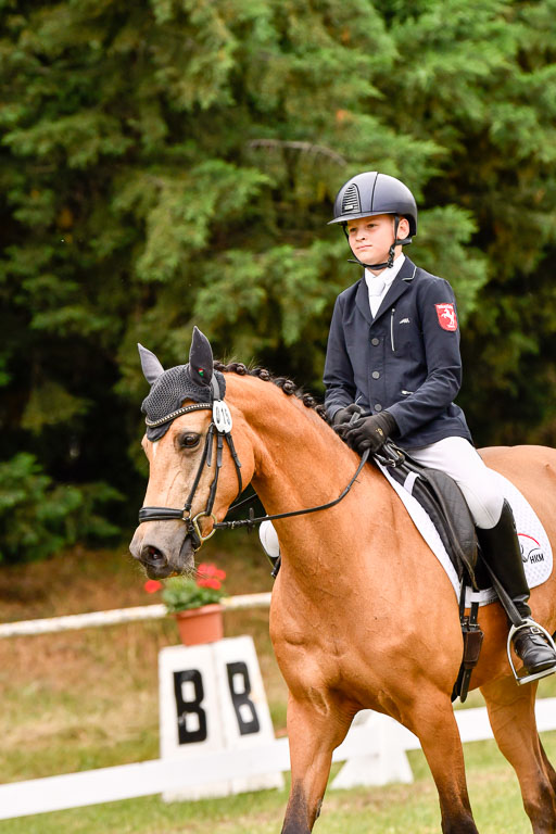 Goldene Schärpe Ponys in Hohenberg Krusemark 2024 | 12072024 Dressur _0901 