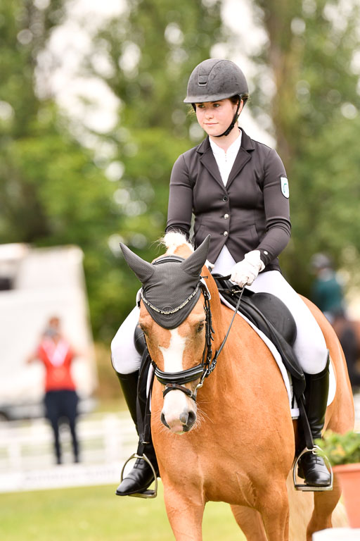 Goldene Schärpe Ponys in Hohenberg Krusemark 2024 | 12072024 Dressur _0904 