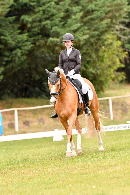 Goldene Schärpe Ponys in Hohenberg Krusemark 2024 | 12072024 Dressur _0907 