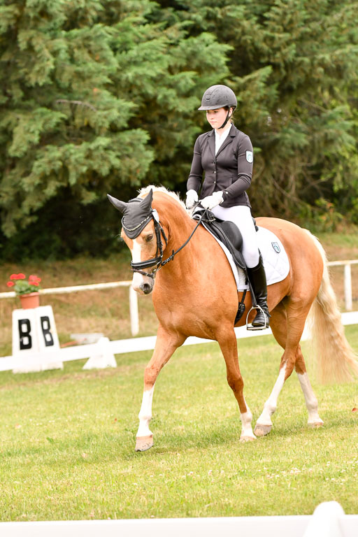 Goldene Schärpe Ponys in Hohenberg Krusemark 2024 | 12072024 Dressur _0909 