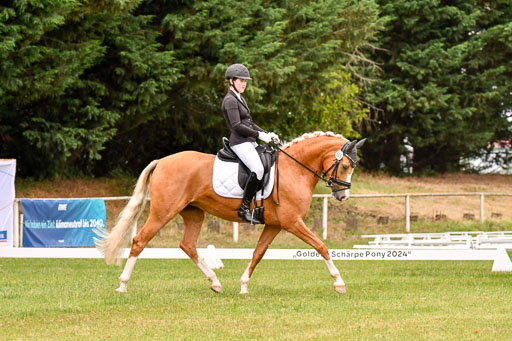 Goldene Schärpe Ponys in Hohenberg Krusemark 2024 | 12072024 Dressur _0914 