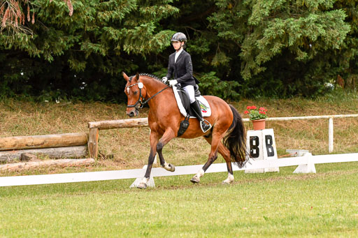 Goldene Schärpe Ponys in Hohenberg Krusemark 2024 | 12072024 Dressur _1000 