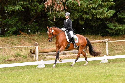 Goldene Schärpe Ponys in Hohenberg Krusemark 2024 | 12072024 Dressur _1001 