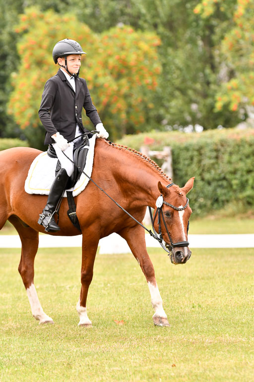 Goldene Schärpe Ponys in Hohenberg Krusemark 2024 | 12072024 Dressur _1002 