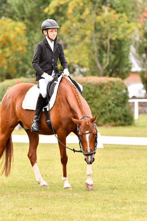 Goldene Schärpe Ponys in Hohenberg Krusemark 2024 | 12072024 Dressur _1003 