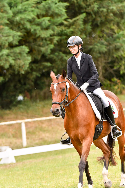 Goldene Schärpe Ponys in Hohenberg Krusemark 2024 | 12072024 Dressur _1005 