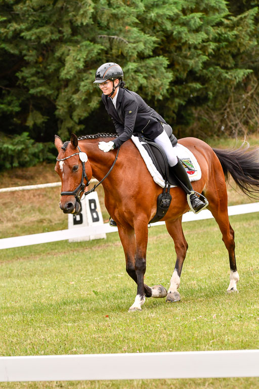 Goldene Schärpe Ponys in Hohenberg Krusemark 2024 | 12072024 Dressur _1006 