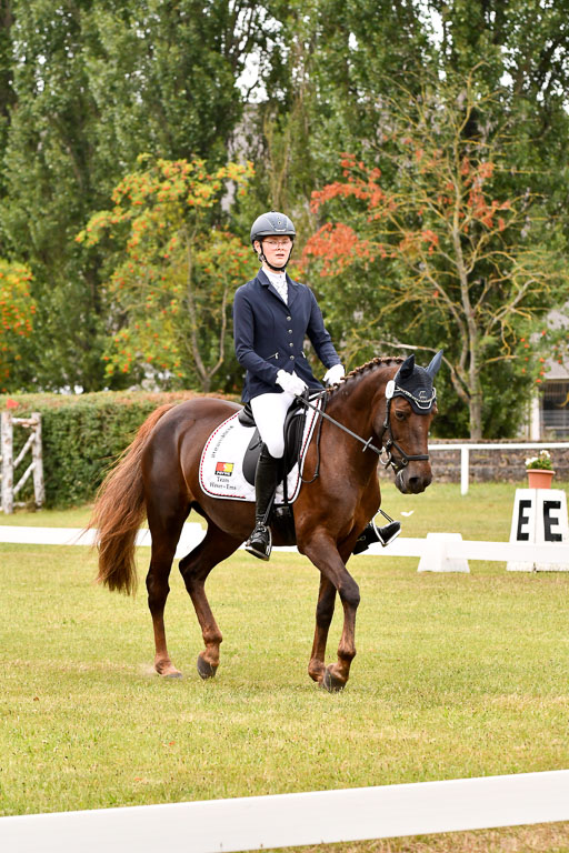 Goldene Schärpe Ponys in Hohenberg Krusemark 2024 | 12072024 Dressur _1007 