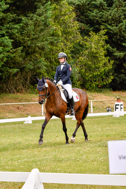 Goldene Schärpe Ponys in Hohenberg Krusemark 2024 | 12072024 Dressur _1008 