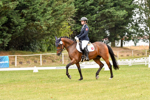 Goldene Schärpe Ponys in Hohenberg Krusemark 2024 | 12072024 Dressur _1009 