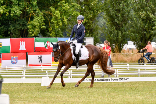 Goldene Schärpe Ponys in Hohenberg Krusemark 2024 | 12072024 Dressur _1014 