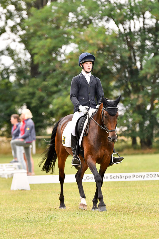 Goldene Schärpe Ponys in Hohenberg Krusemark 2024 | 12072024 Dressur _1103 