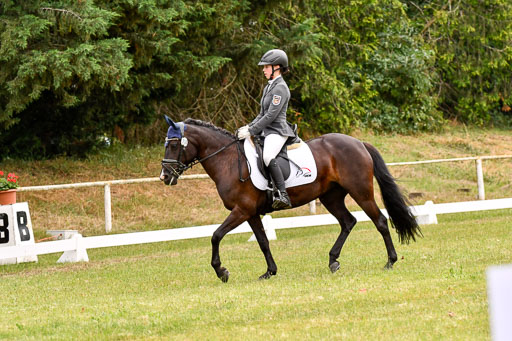 Goldene Schärpe Ponys in Hohenberg Krusemark 2024 | 12072024 Dressur _1104 