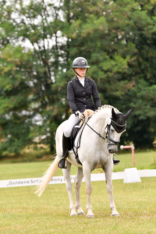 Goldene Schärpe Ponys in Hohenberg Krusemark 2024 | 12072024 Dressur _1105 