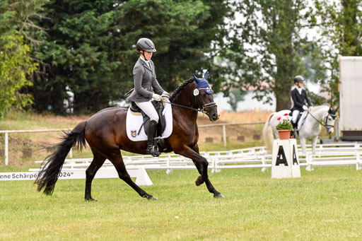 Goldene Schärpe Ponys in Hohenberg Krusemark 2024 | 12072024 Dressur _1107 