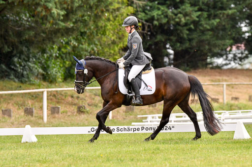 Goldene Schärpe Ponys in Hohenberg Krusemark 2024 | 12072024 Dressur _1109 