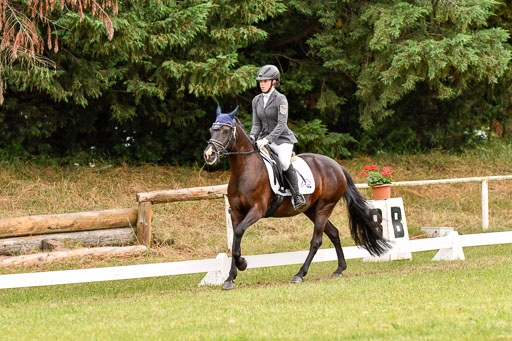 Goldene Schärpe Ponys in Hohenberg Krusemark 2024 | 12072024 Dressur _1111 