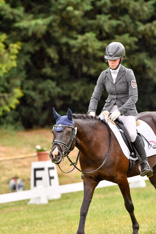 Goldene Schärpe Ponys in Hohenberg Krusemark 2024 | 12072024 Dressur _1113 