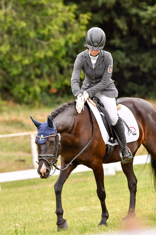 Goldene Schärpe Ponys in Hohenberg Krusemark 2024 | 12072024 Dressur _1114 