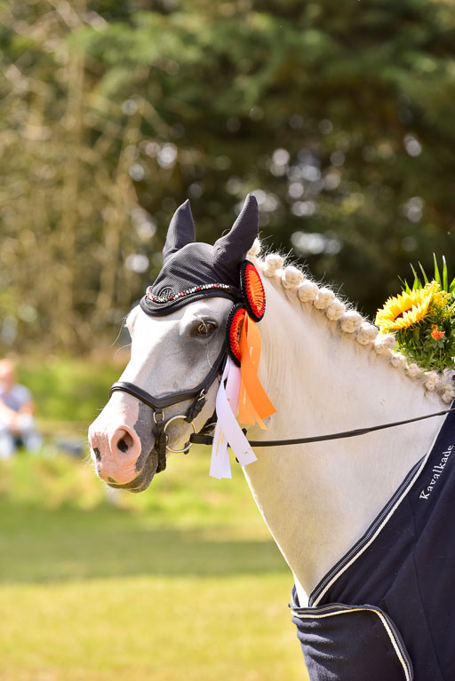 Goldene Schärpe Ponys in Hohenberg Krusemark 2024 | 14072024 Ehrungen_159 