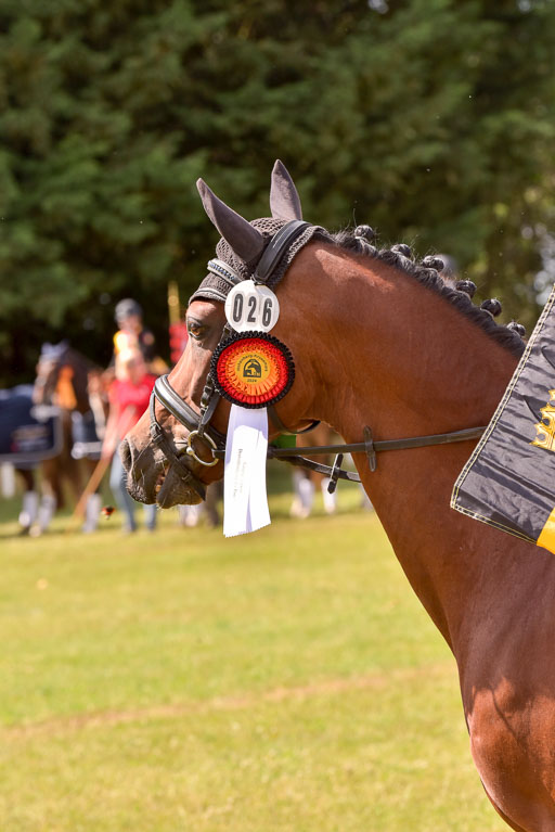 Goldene Schärpe Ponys in Hohenberg Krusemark 2024 | 14072024 Ehrungen_170 