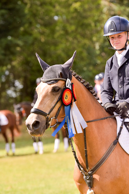 Goldene Schärpe Ponys in Hohenberg Krusemark 2024 | 14072024 Ehrungen_185 