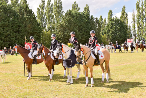 Goldene Schärpe Ponys in Hohenberg Krusemark 2024 | 14072024 Ehrungen_210 