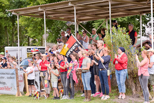 Goldene Schärpe Ponys in Hohenberg Krusemark 2024 | 14072024 Ehrungen_237 