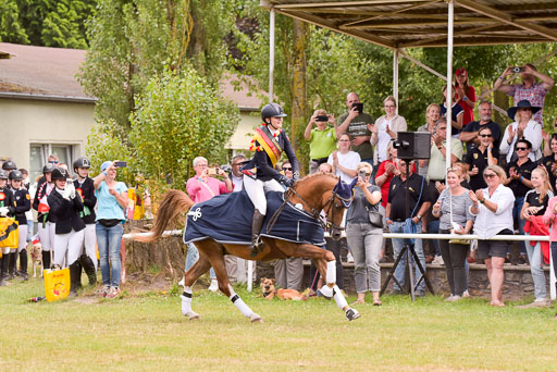 Goldene Schärpe Ponys in Hohenberg Krusemark 2024 | 14072024 Ehrungen_327 