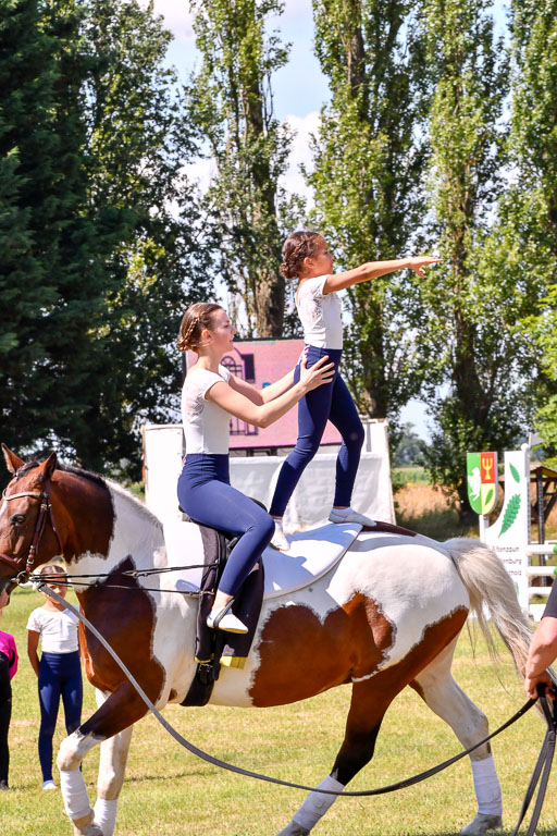 Goldene Schärpe Ponys in Hohenberg Krusemark 2024 | 14072024 Ehrungen_350 
