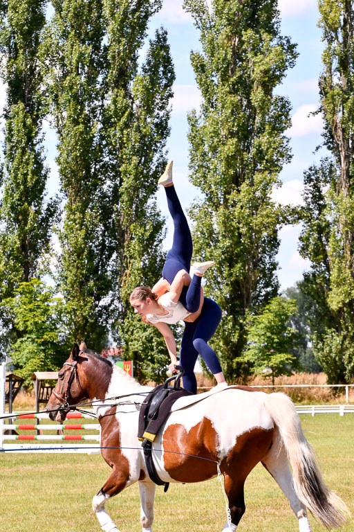 Goldene Schärpe Ponys in Hohenberg Krusemark 2024 | 14072024 Ehrungen_359 