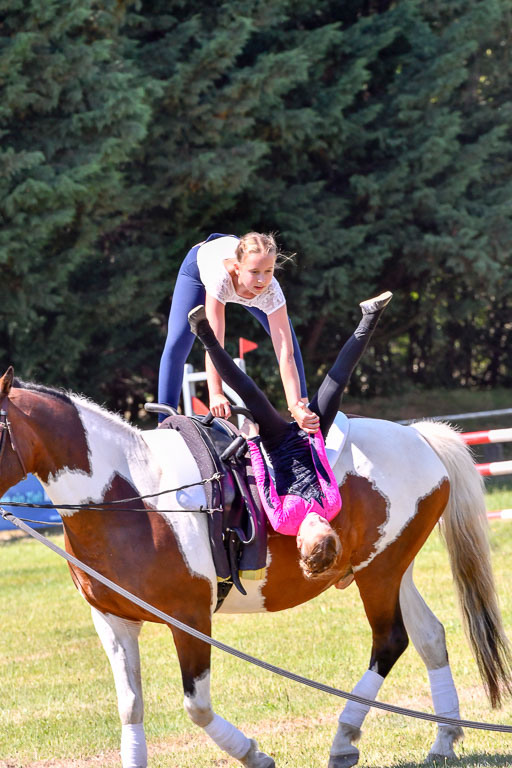Goldene Schärpe Ponys in Hohenberg Krusemark 2024 | 14072024 Ehrungen_361 