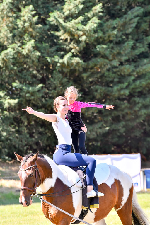 Goldene Schärpe Ponys in Hohenberg Krusemark 2024 | 14072024 Ehrungen_371 