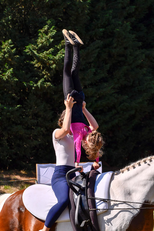 Goldene Schärpe Ponys in Hohenberg Krusemark 2024 | 14072024 Ehrungen_375 