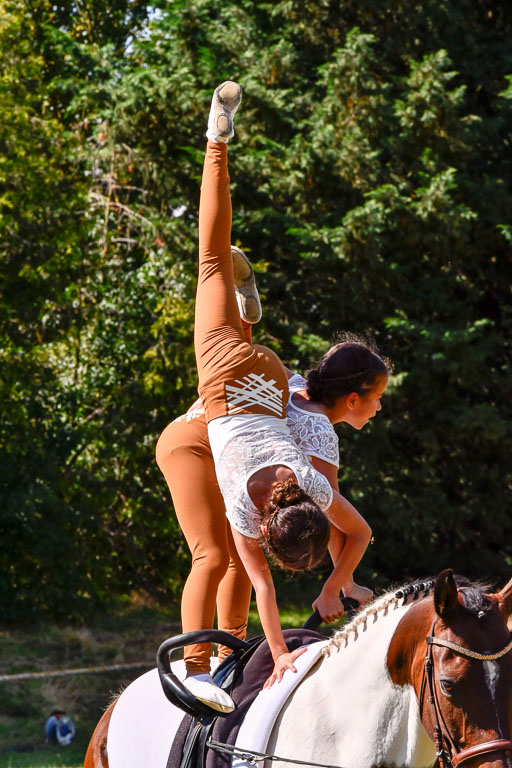 Goldene Schärpe Ponys in Hohenberg Krusemark 2024 | 14072024 Ehrungen_381 