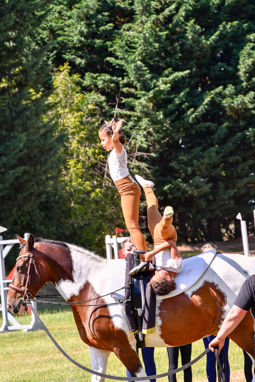Goldene Schärpe Ponys in Hohenberg Krusemark 2024 | 14072024 Ehrungen_386 