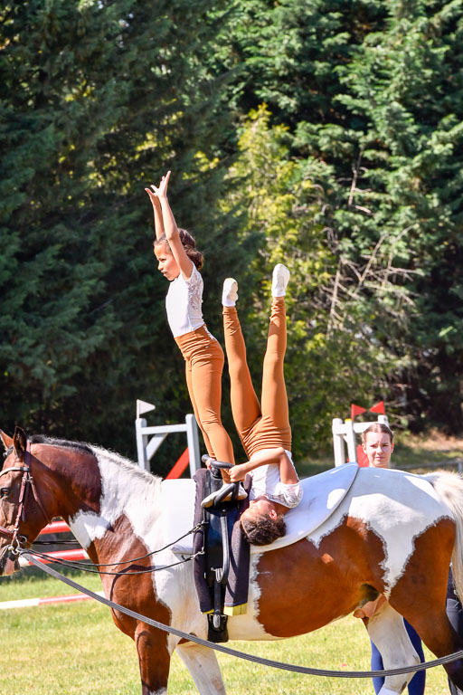 Goldene Schärpe Ponys in Hohenberg Krusemark 2024 | 14072024 Ehrungen_387 