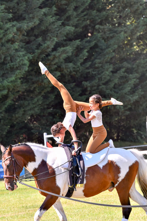 Goldene Schärpe Ponys in Hohenberg Krusemark 2024 | 14072024 Ehrungen_395 