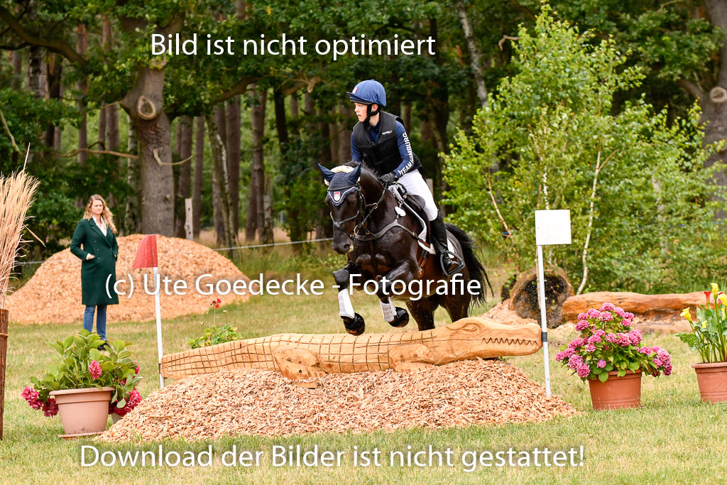 Goldene Schärpe Ponys in Hohenberg Krusemark 2024 | 13072024 Gelände 1 Abt_006 