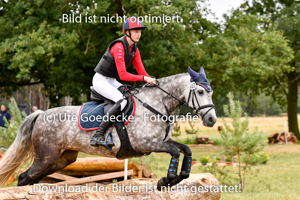 Goldene Schärpe Ponys in Hohenberg Krusemark 2024 | 13072024 Gelände 1 Abt_012 