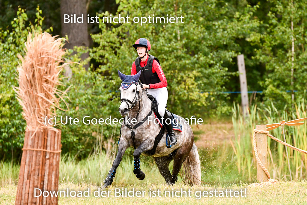 Goldene Schärpe Ponys in Hohenberg Krusemark 2024 | 13072024 Gelände 1 Abt_017