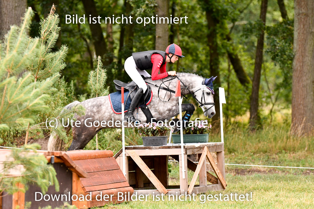 Goldene Schärpe Ponys in Hohenberg Krusemark 2024 | 13072024 Gelände 1 Abt_019