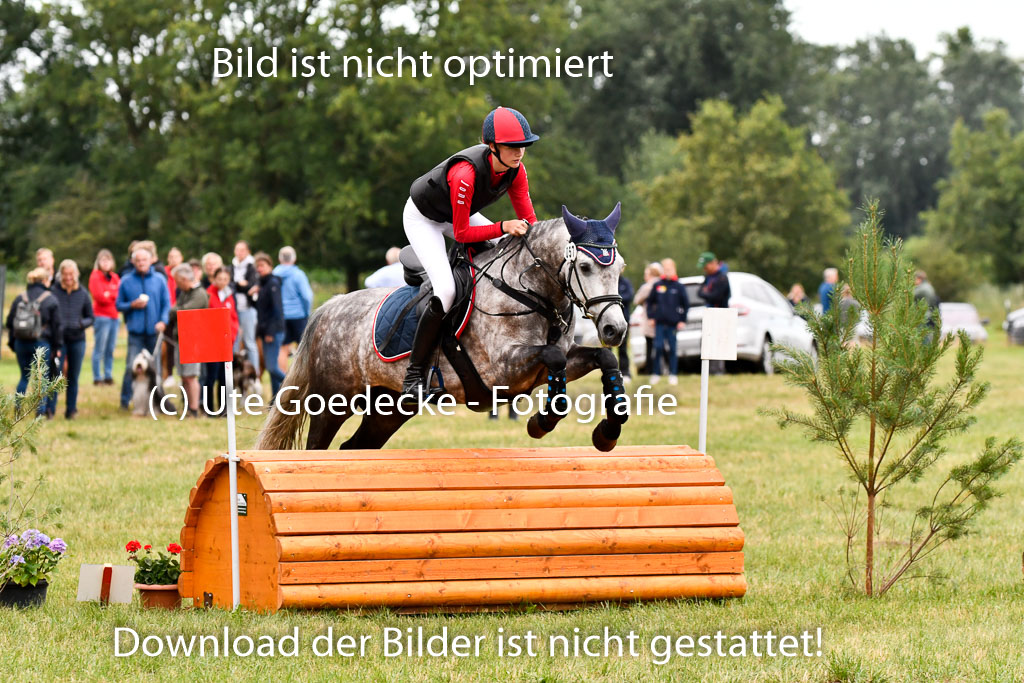 Goldene Schärpe Ponys in Hohenberg Krusemark 2024 | 13072024 Gelände 1 Abt_024 