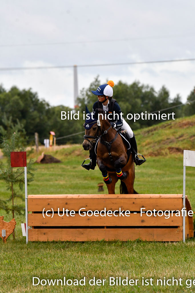 Goldene Schärpe Ponys in Hohenberg Krusemark 2024 | 13072024 Gelände 1 Abt_025 