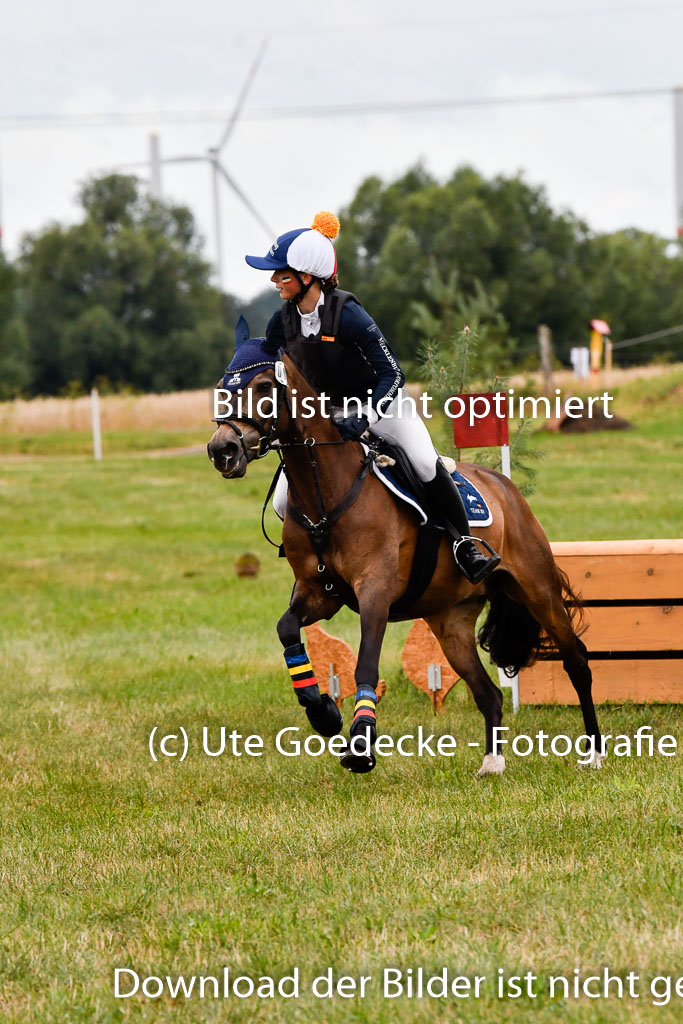 Goldene Schärpe Ponys in Hohenberg Krusemark 2024 | 13072024 Gelände 1 Abt_027
