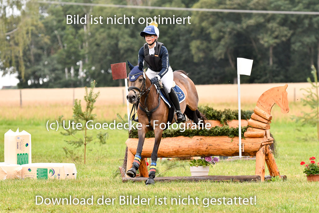 Goldene Schärpe Ponys in Hohenberg Krusemark 2024 | 13072024 Gelände 1 Abt_029
