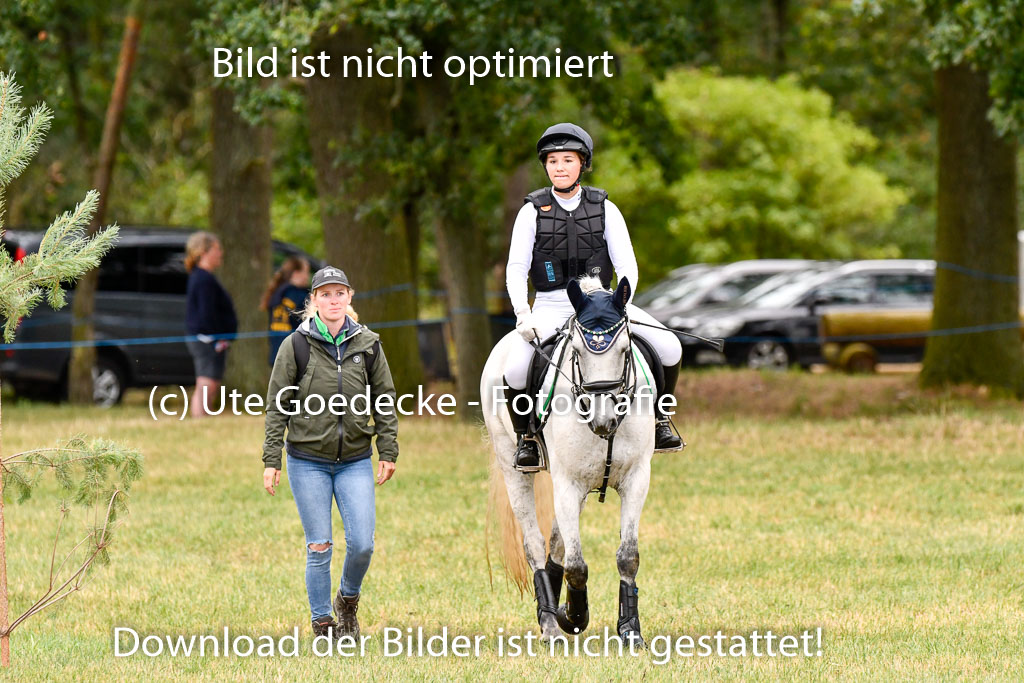 Goldene Schärpe Ponys in Hohenberg Krusemark 2024 | 13072024 Gelände 1 Abt_030