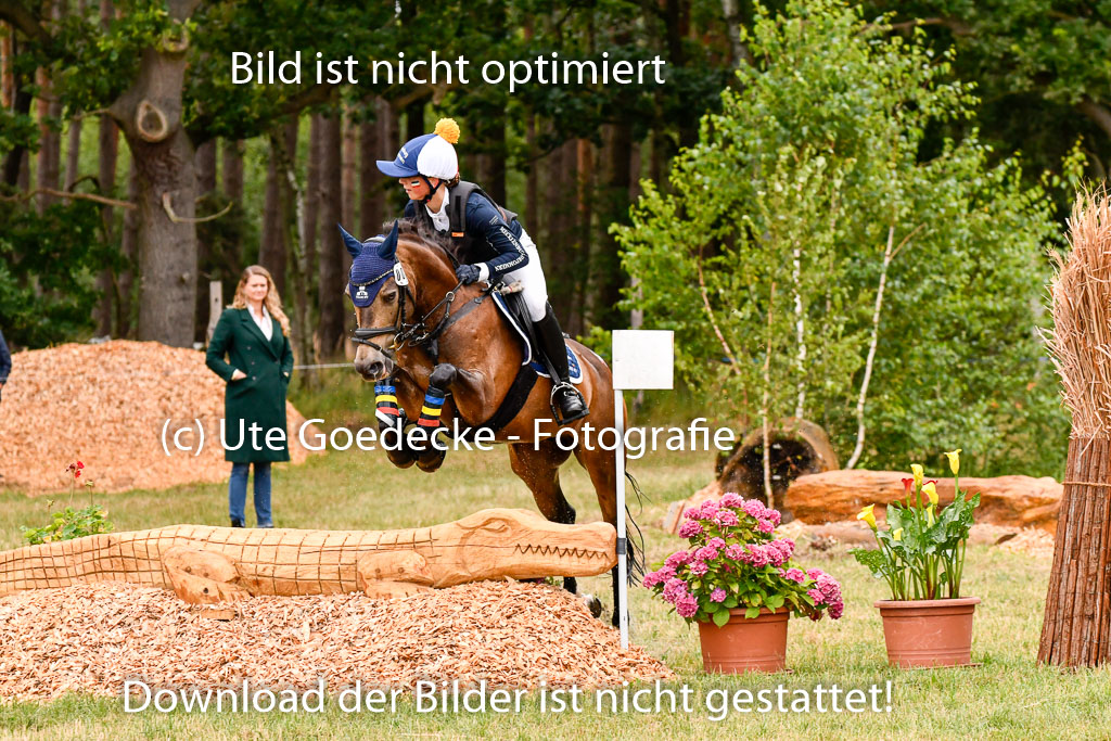 Goldene Schärpe Ponys in Hohenberg Krusemark 2024 | 13072024 Gelände 1 Abt_032