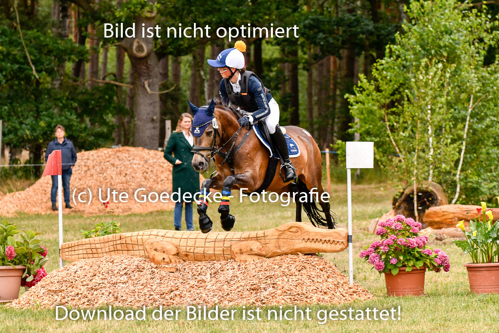 Goldene Schärpe Ponys in Hohenberg Krusemark 2024 | 13072024 Gelände 1 Abt_033 